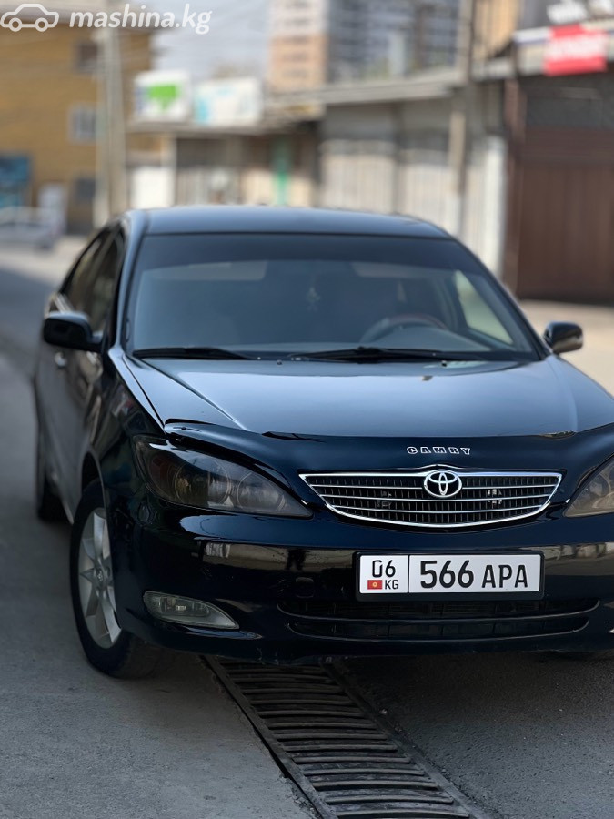 Фото 2