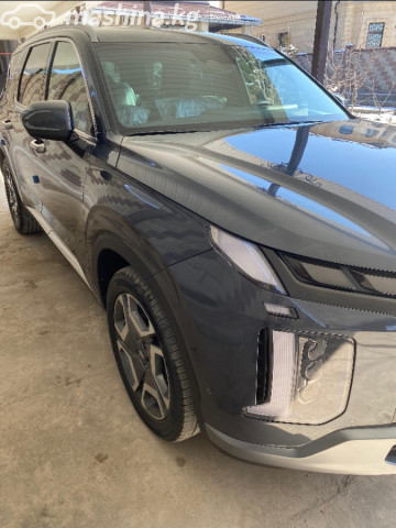 Hyundai Palisade I Рестайлинг 2.2d AT — фото 9