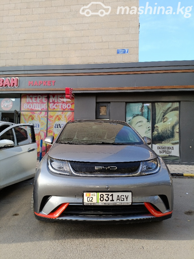 BYD Dolphin