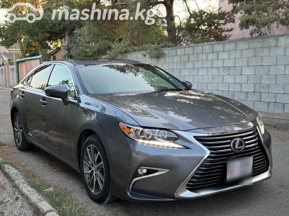 Ещё фото