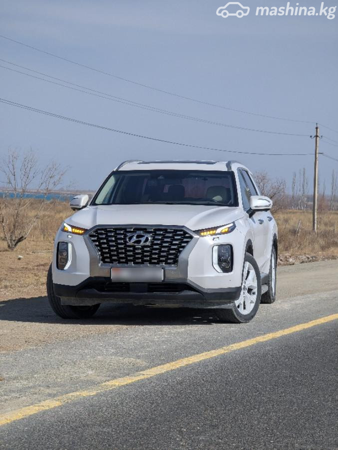 Hyundai Palisade I