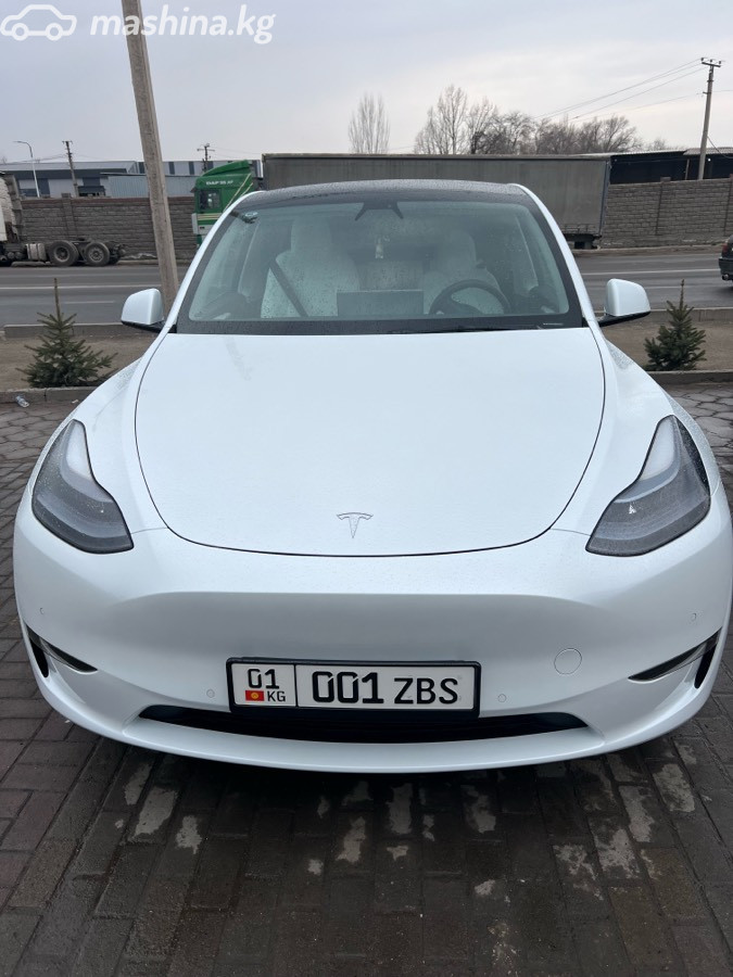 Tesla Model Y I