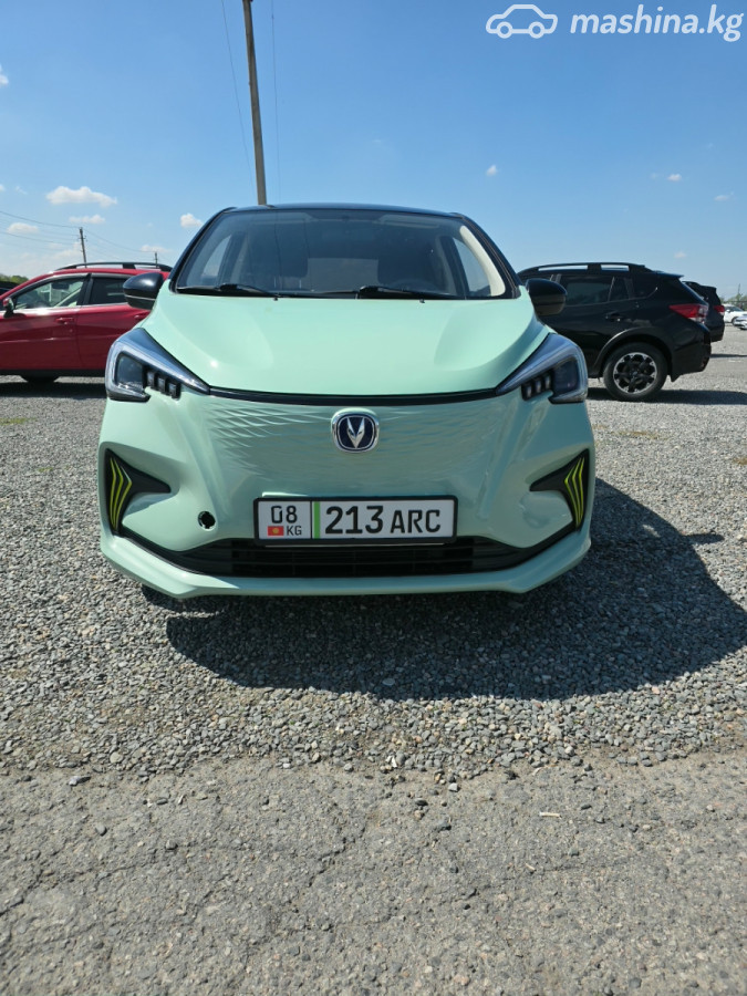 Changan Benben E-Star