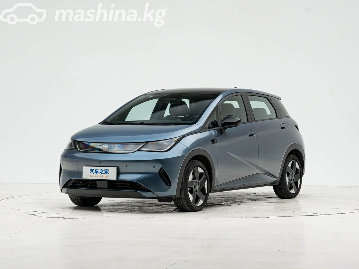 BYD Dolphin