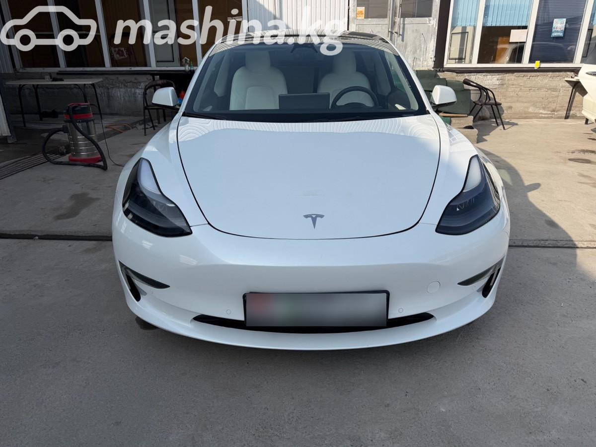 Tesla Model 3 I