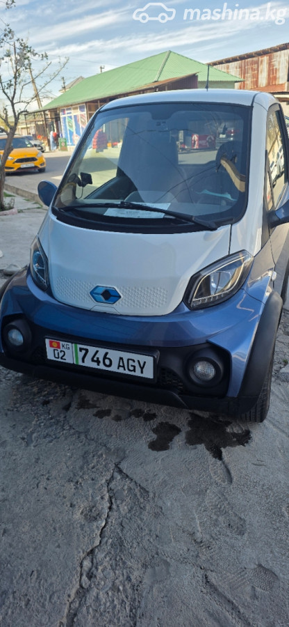 BYD D1