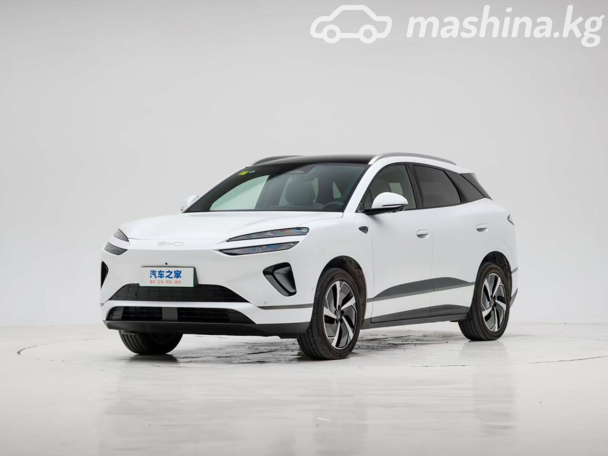 BYD Sea Lion 06