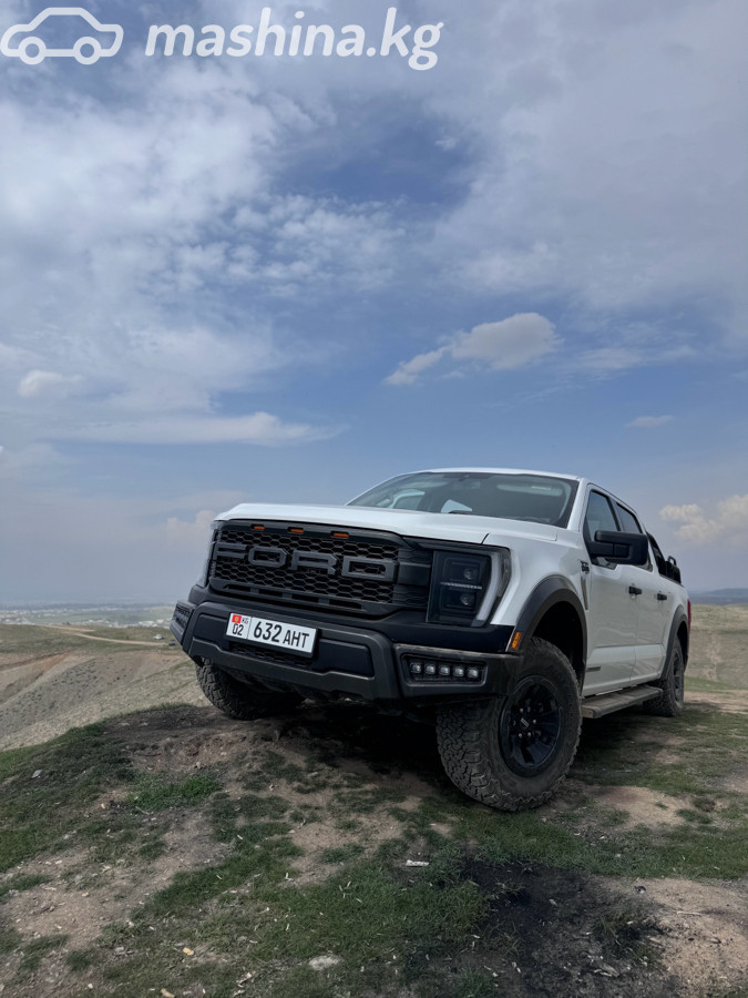 Ford F-150 XIV