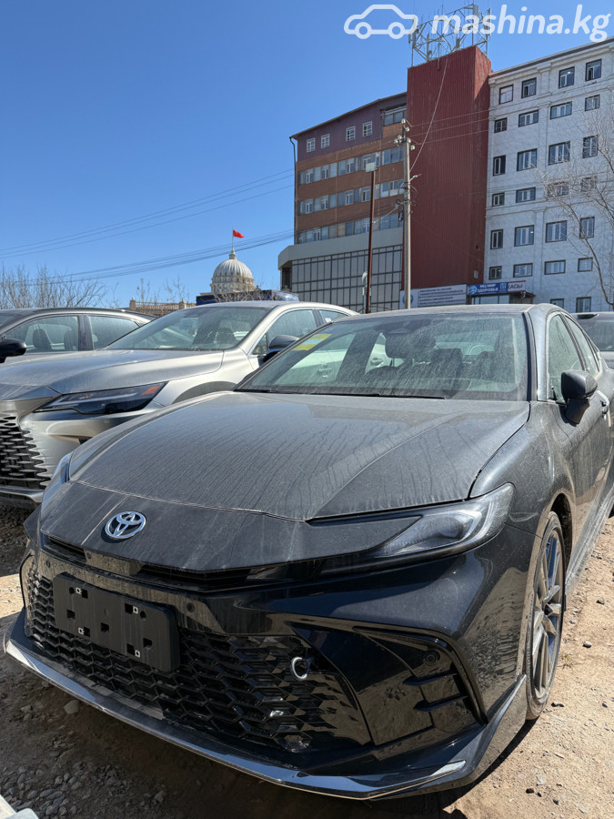 Toyota Camry IX (XV80) China Market