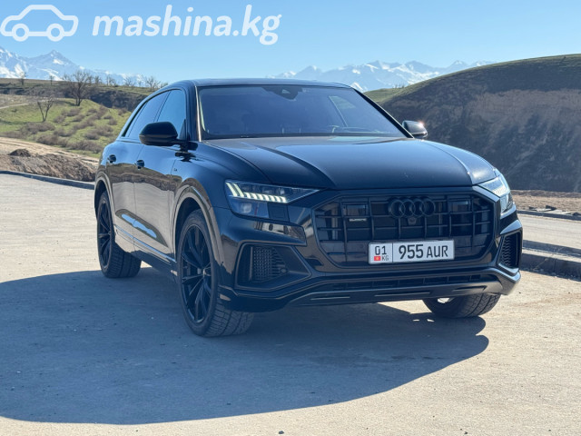 Audi Q8 I (4M) 55 TFSI 3.0 AT 4WD — фото 9