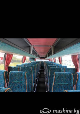 Rental - Трансфер на автобусах, 30, 51-55 мест