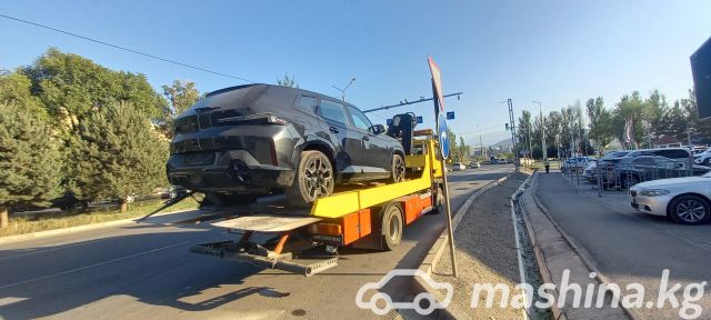 Tow truck - Эвакуатор 0 700 066 911